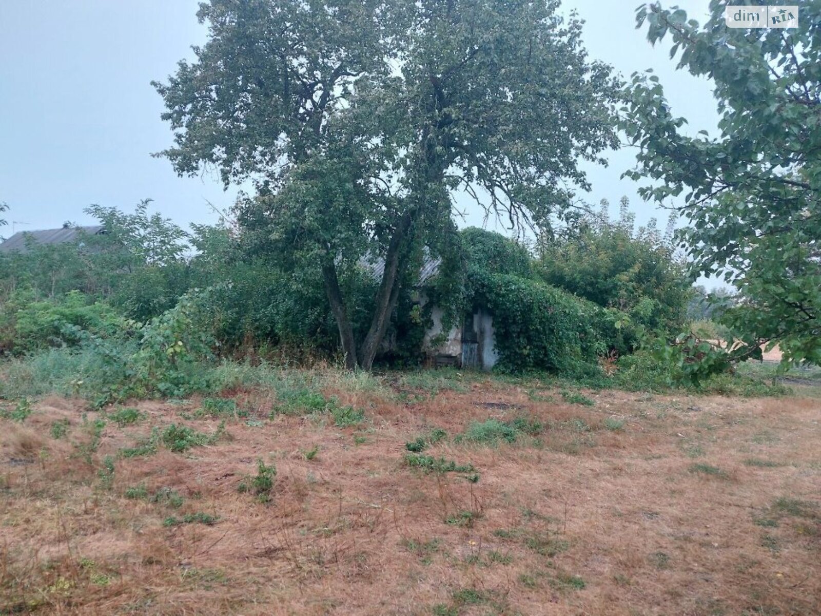 одноповерховий будинок, 24.8 кв. м, цегла. Продаж у Людвинівці фото 1 одноповерховий будинок, 24.8 кв. м, цегла. Продаж у Людвинівці фото 1