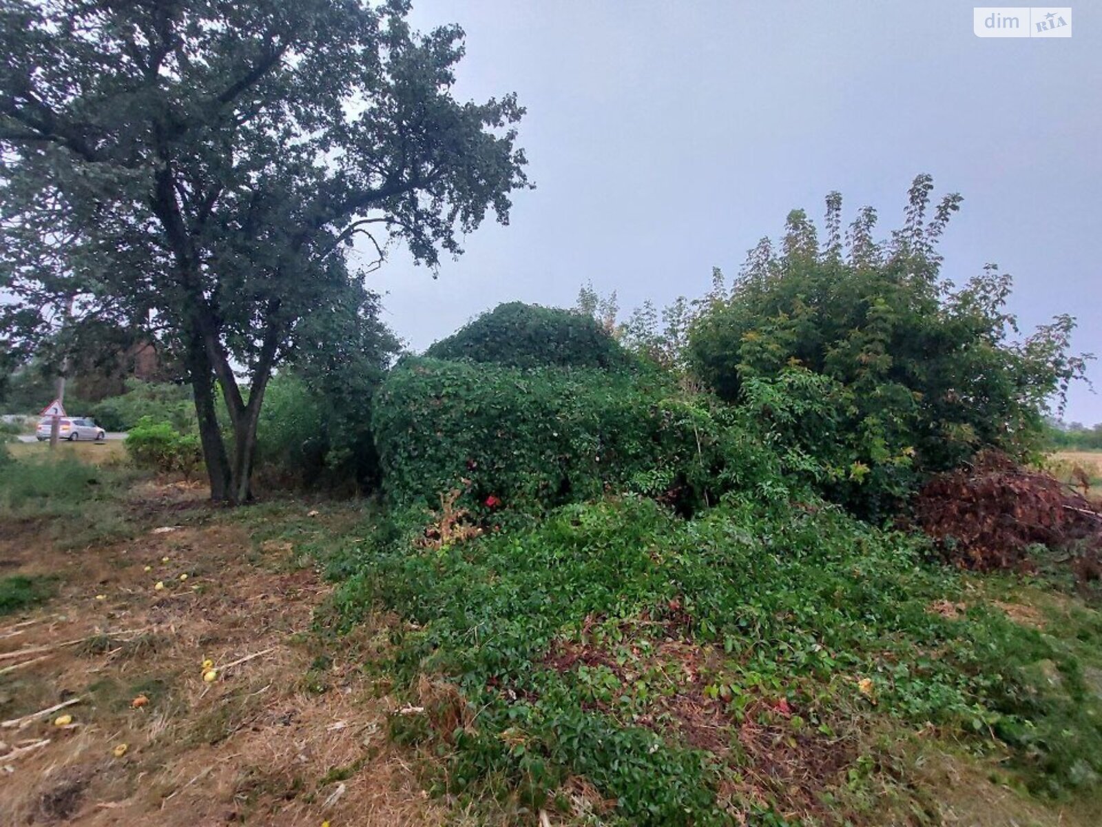 одноповерховий будинок, 24.8 кв. м, цегла. Продаж у Людвинівці фото 1 одноповерховий будинок, 24.8 кв. м, цегла. Продаж у Людвинівці фото 1