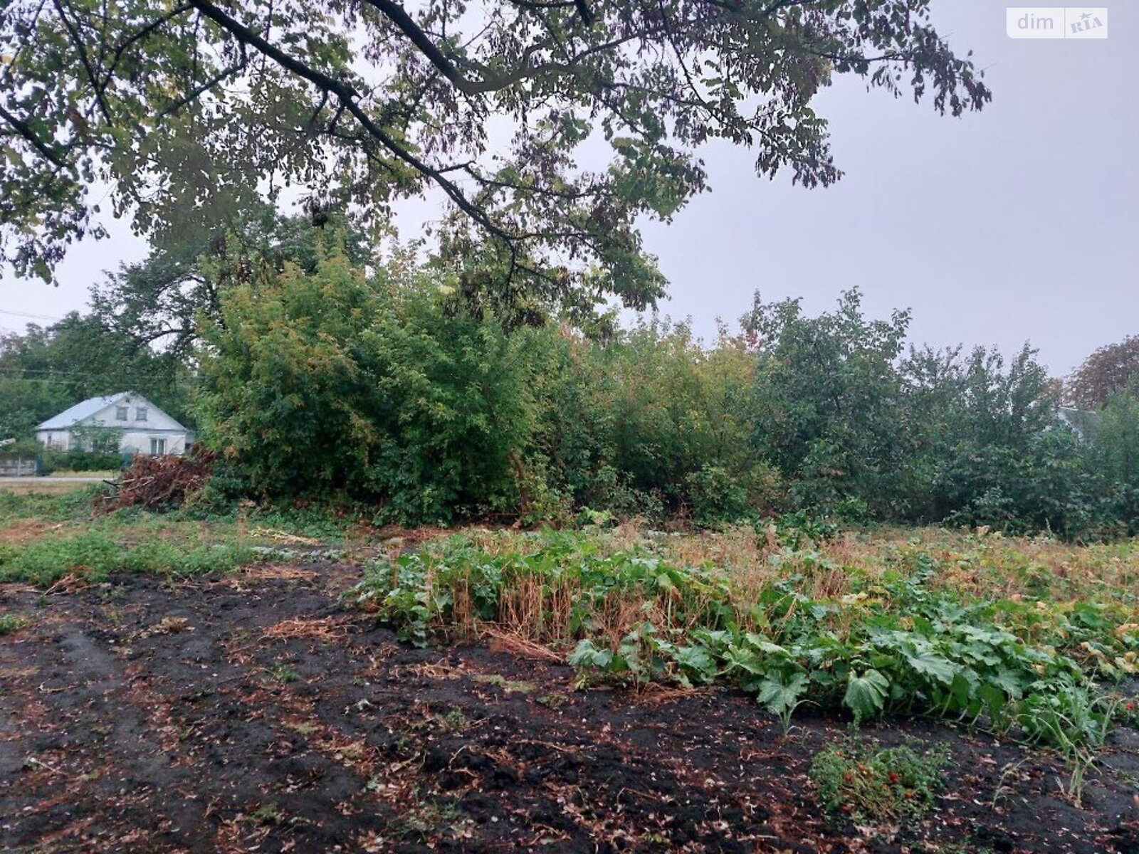 одноповерховий будинок, 24.8 кв. м, цегла. Продаж у Людвинівці фото 1 одноповерховий будинок, 24.8 кв. м, цегла. Продаж у Людвинівці фото 1