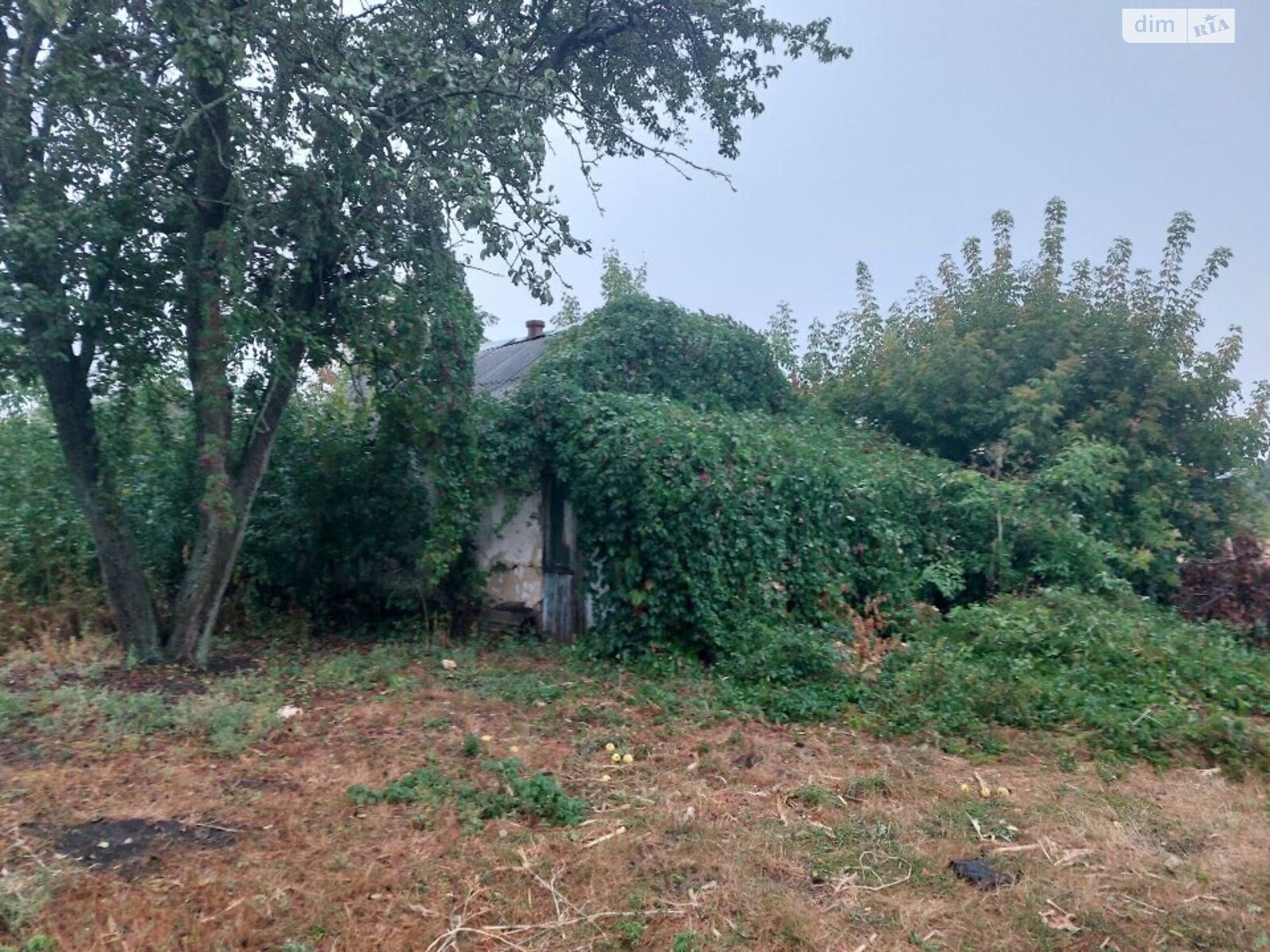 одноповерховий будинок, 24.8 кв. м, цегла. Продаж у Людвинівці фото 1 одноповерховий будинок, 24.8 кв. м, цегла. Продаж у Людвинівці фото 1