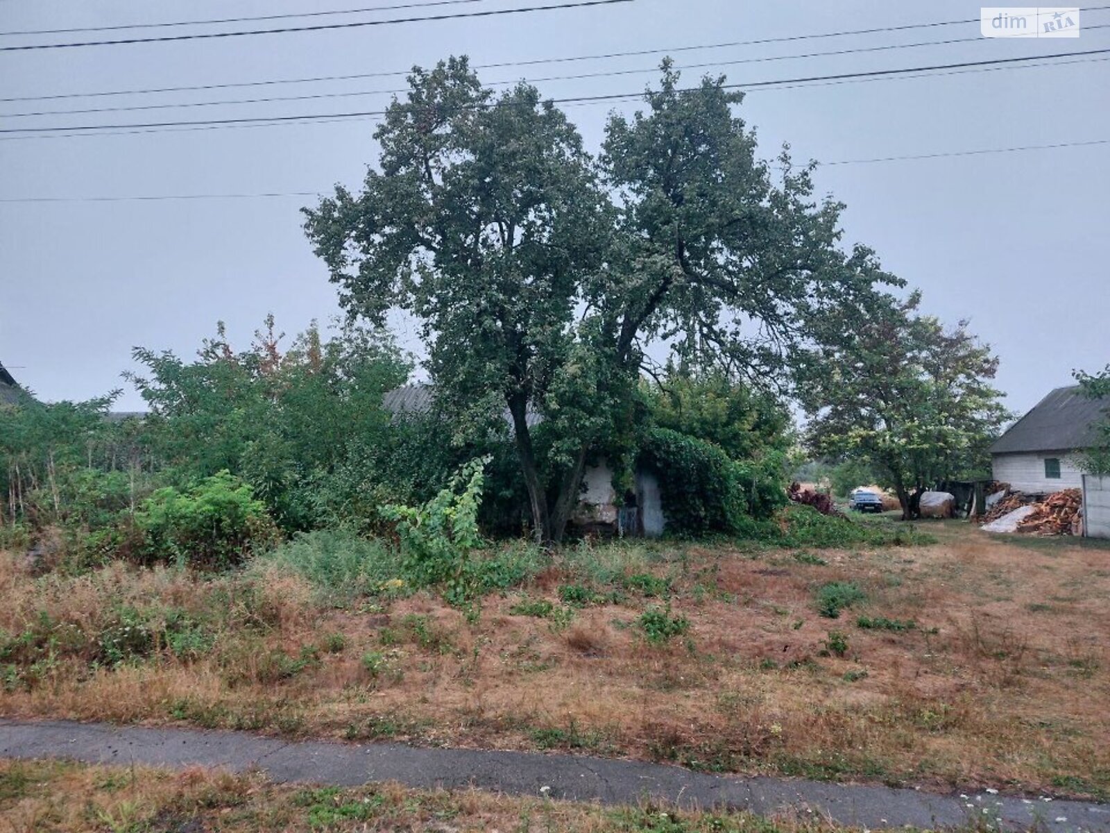 одноповерховий будинок, 24.8 кв. м, цегла. Продаж у Людвинівці фото 1 одноповерховий будинок, 24.8 кв. м, цегла. Продаж у Людвинівці фото 1