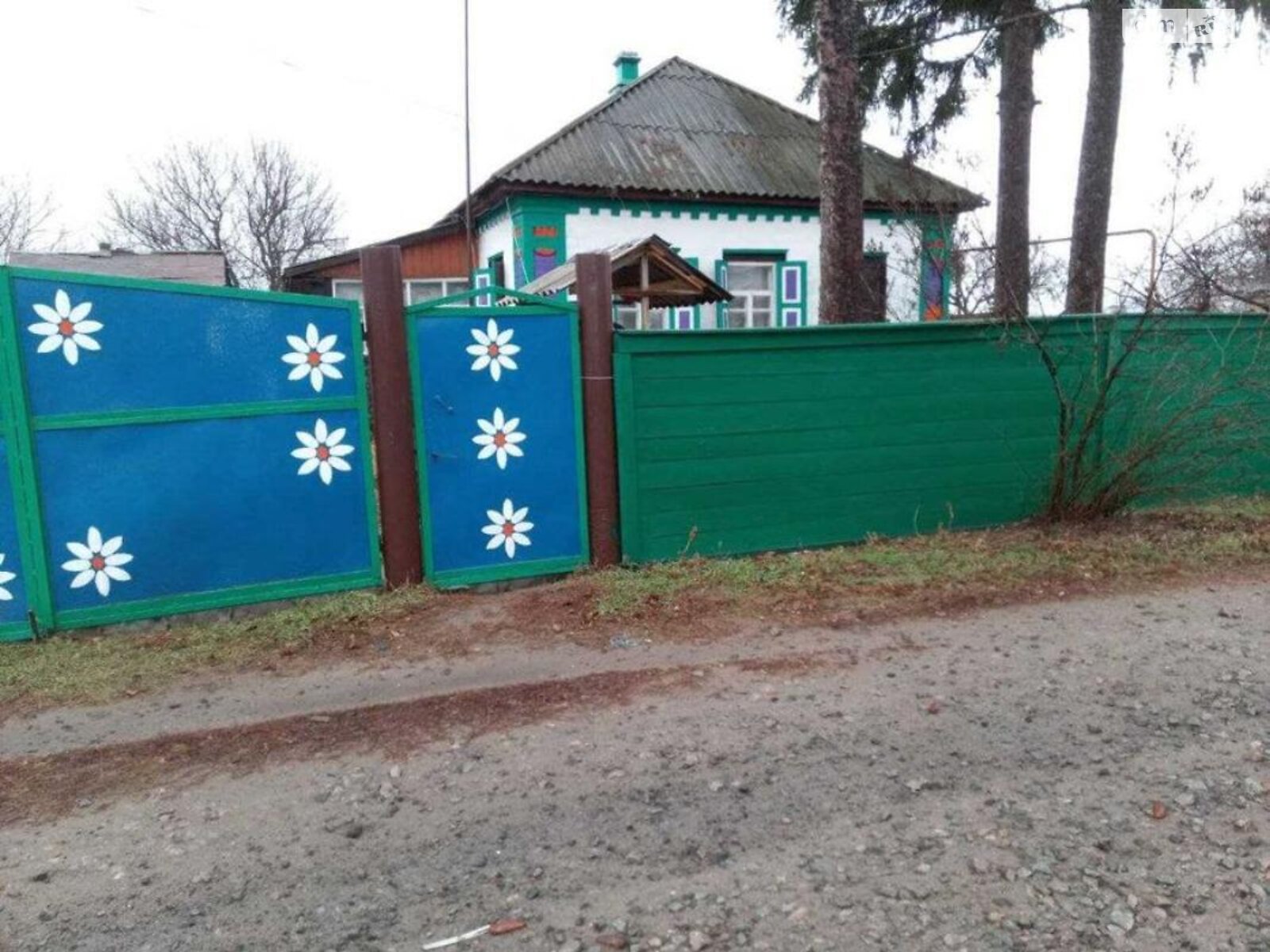 одноповерховий будинок з опаленням, 100 кв. м, цегла. Продаж у Лютеньці фото 1