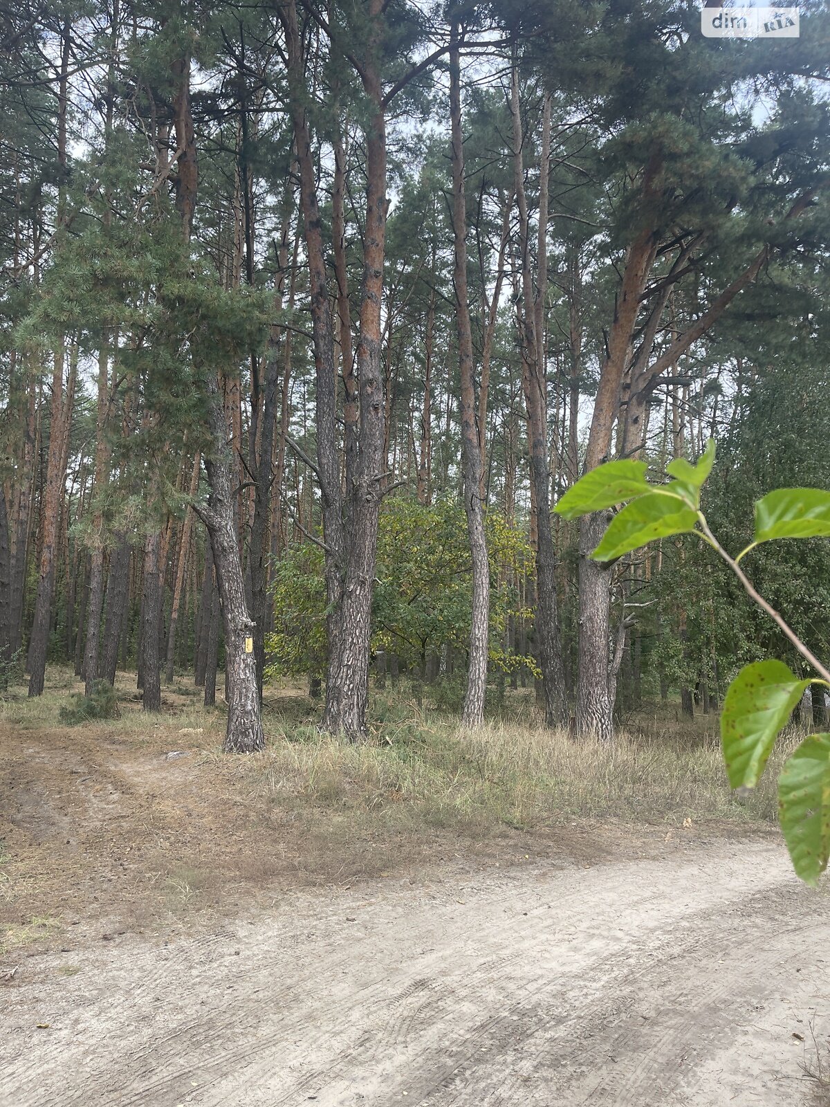 двоповерховий будинок з гаражем, 405 кв. м, цегла. Продаж у Лютіжі фото 1 двоповерховий будинок з гаражем, 405 кв. м, цегла. Продаж у Лютіжі фото 1