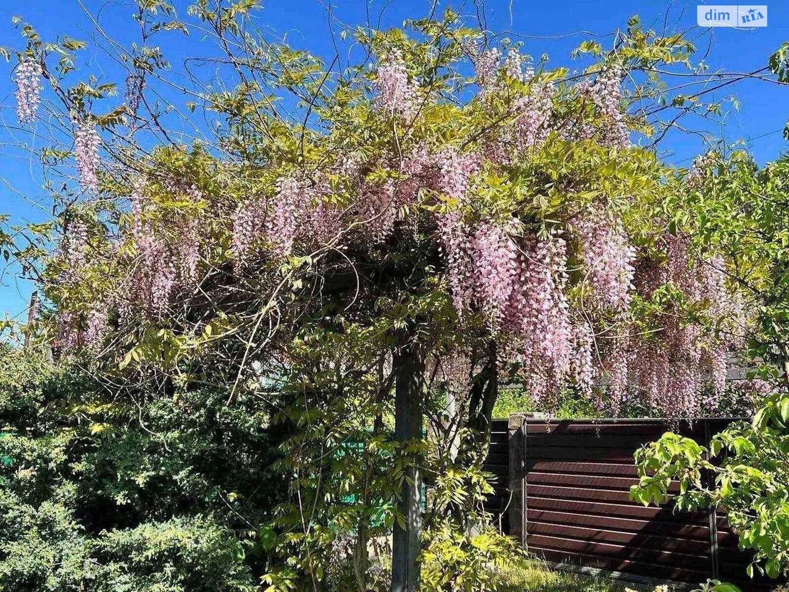 двоповерховий будинок, 134 кв. м, пенобетон. Продаж у Гуті-Межигірській фото 1 двоповерховий будинок, 134 кв. м, пенобетон. Продаж у Гуті-Межигірській фото 1