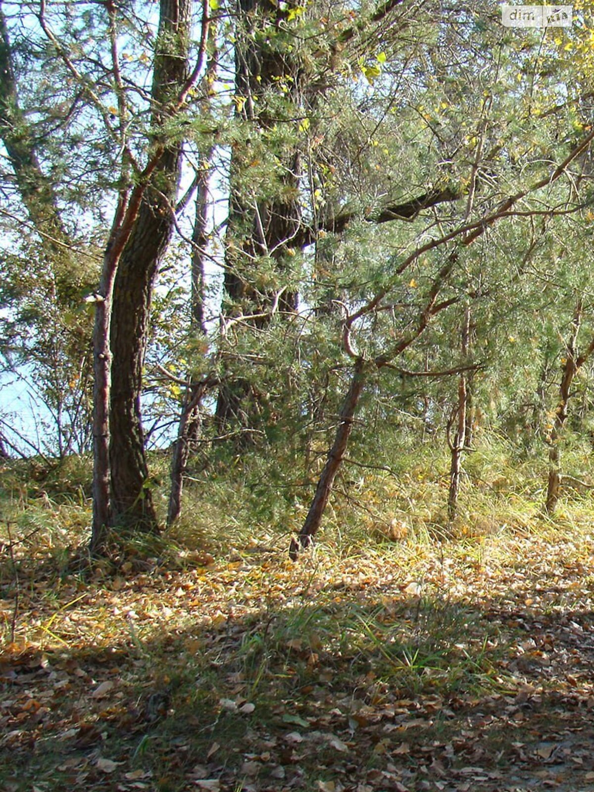 двухэтажный дом с гаражом, 174.3 кв. м, керамзитобетон. Продажа в Лютиже фото 1 двухэтажный дом с гаражом, 174.3 кв. м, керамзитобетон. Продажа в Лютиже фото 1