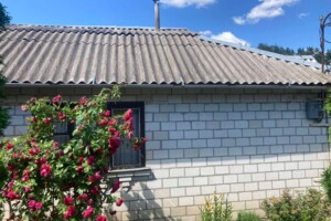 одноповерховий будинок з опаленням, 50 кв. м, кирпич. Продаж у Козаровичах фото 2 одноповерховий будинок з опаленням, 50 кв. м, кирпич. Продаж у Козаровичах фото 2