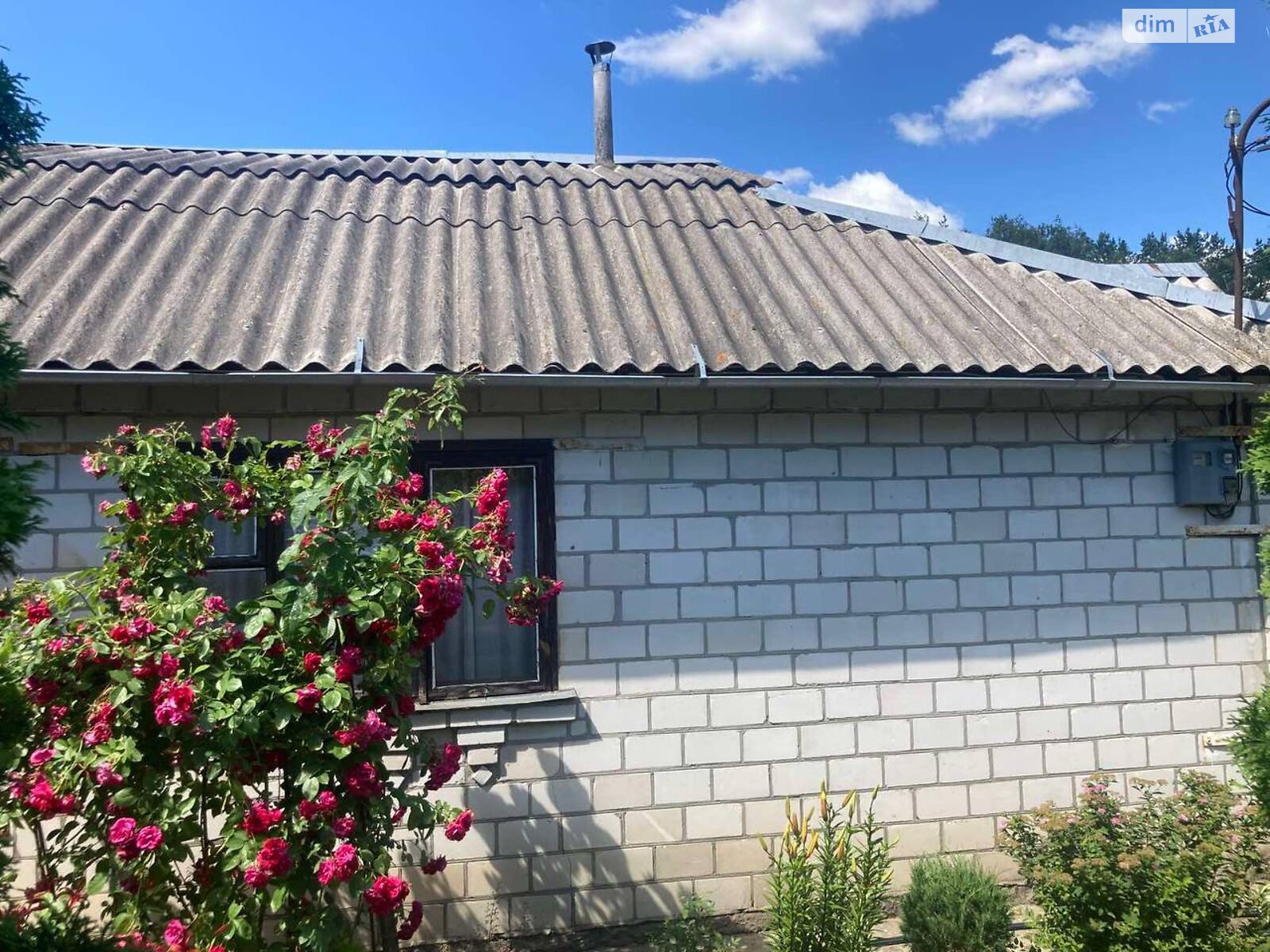 одноповерховий будинок з опаленням, 50 кв. м, кирпич. Продаж у Козаровичах фото 1 одноповерховий будинок з опаленням, 50 кв. м, кирпич. Продаж у Козаровичах фото 1