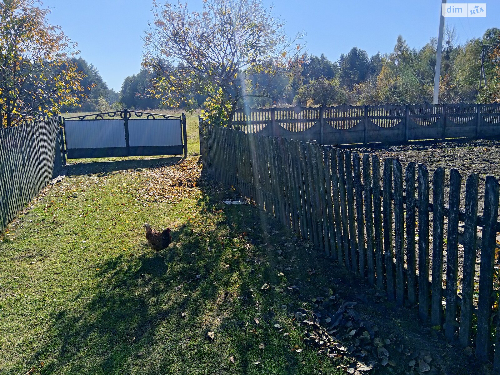 одноэтажный дом, 64.9 кв. м, дерево и кирпич. Продажа в Магерове фото 1