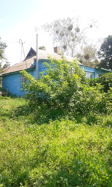 одноэтажный дом с садом, 87 кв. м, дерево и кирпич. Продажа в Макарове район Макаров фото 1 одноэтажный дом с садом, 87 кв. м, дерево и кирпич. Продажа в Макарове район Макаров фото 1