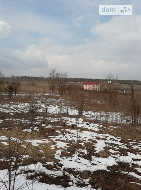 двухэтажный дом с камином, 228 кв. м, кирпич. Продажа в Новоселках (Киевская обл.) фото 1 двухэтажный дом с камином, 228 кв. м, кирпич. Продажа в Новоселках (Киевская обл.) фото 1