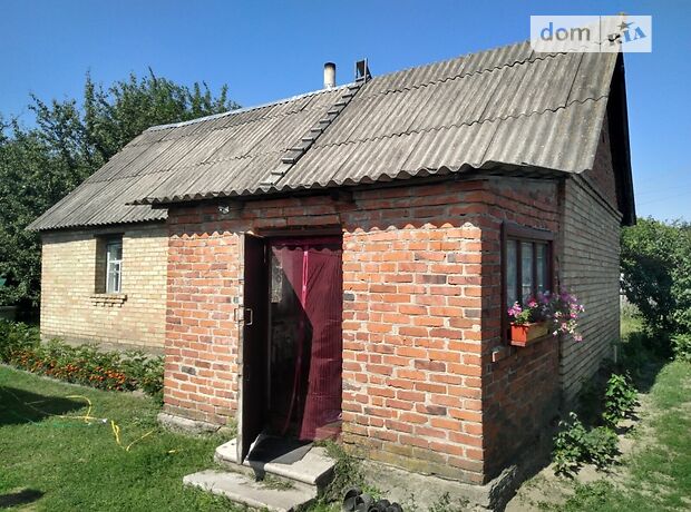 одноэтажный дом с садом, 46 кв. м, дерево и кирпич. Продажа в Забуянье (Киевская обл.) фото 1 одноэтажный дом с садом, 46 кв. м, дерево и кирпич. Продажа в Забуянье (Киевская обл.) фото 1