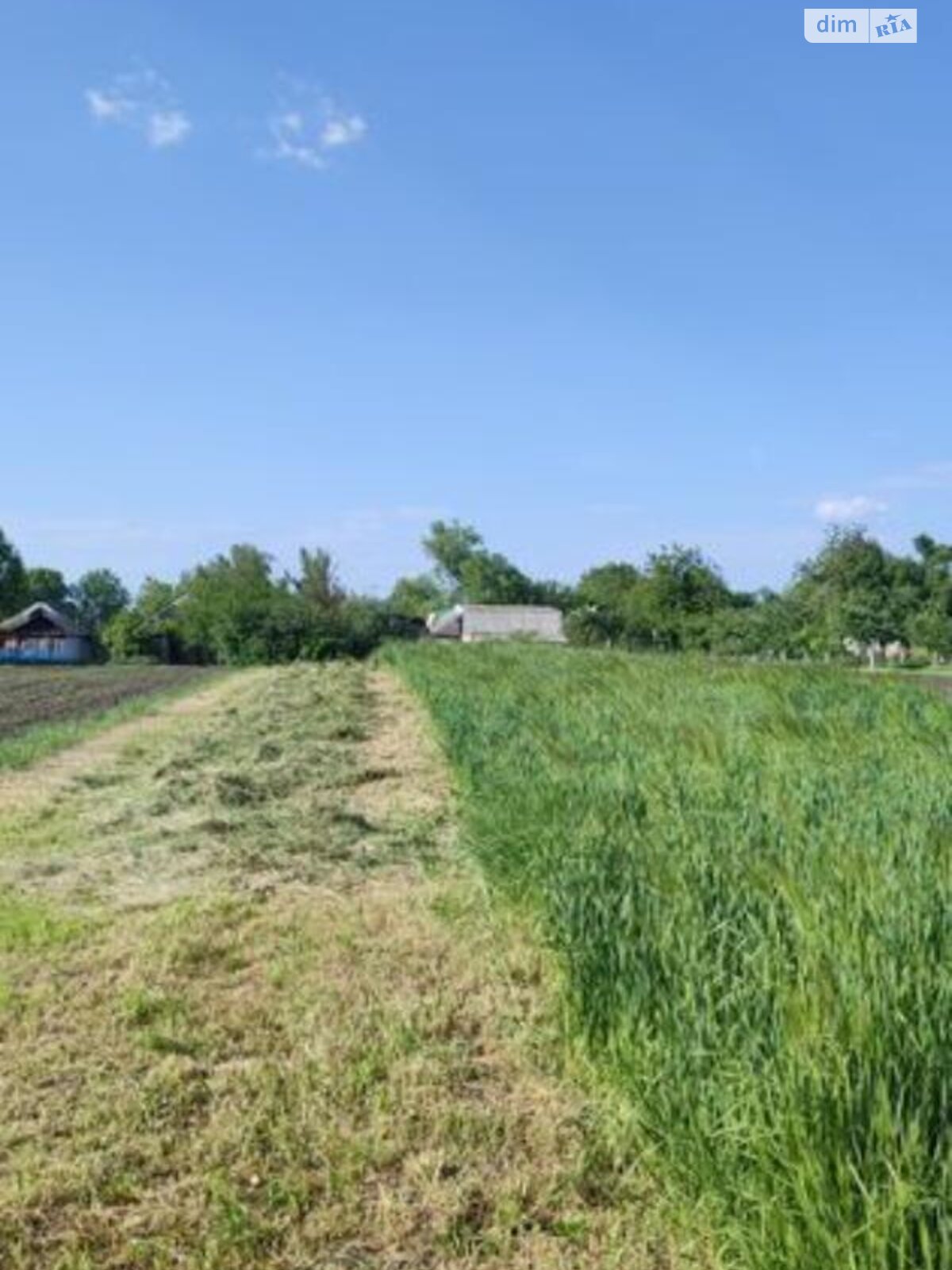 одноповерховий будинок з верандою, 70 кв. м, зруб. Продаж у Макарівці фото 1 одноповерховий будинок з верандою, 70 кв. м, зруб. Продаж у Макарівці фото 1