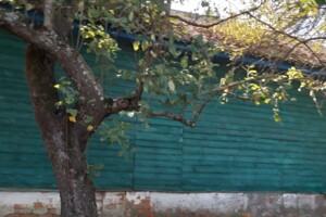 одноэтажный дом, 94.8 кв. м, сруб. Продажа в Макишине фото 2