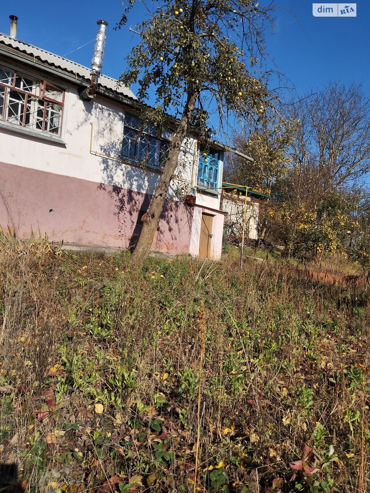 одноэтажный дом, 40 кв. м, кирпич. Продажа в Малашовцах фото 1 одноэтажный дом, 40 кв. м, кирпич. Продажа в Малашовцах фото 1