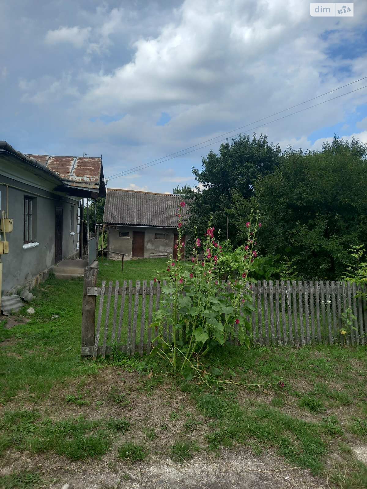 одноповерховий будинок, 50 кв. м, цегла. Продаж у Малій Березовиці фото 1