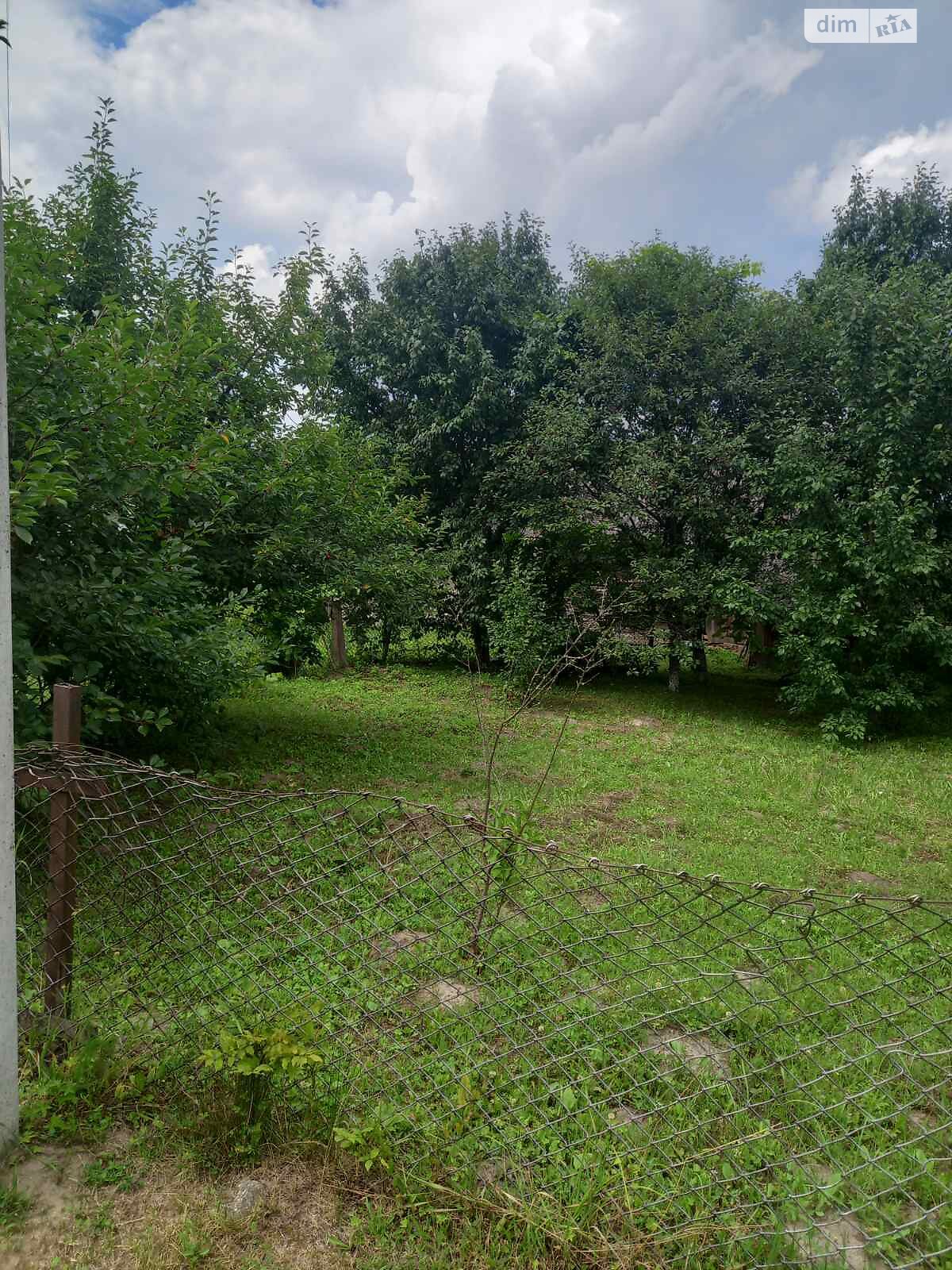 одноповерховий будинок, 50 кв. м, цегла. Продаж у Малій Березовиці фото 1