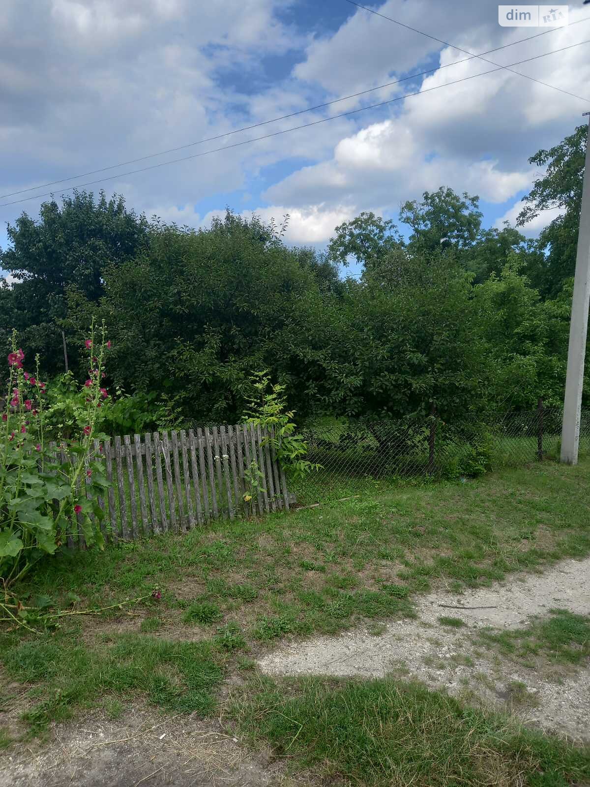 одноповерховий будинок, 50 кв. м, цегла. Продаж у Малій Березовиці фото 1