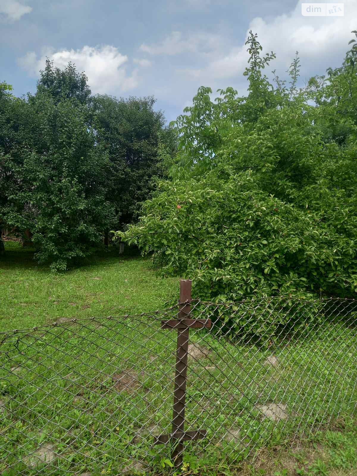 одноповерховий будинок, 50 кв. м, цегла. Продаж у Малій Березовиці фото 1