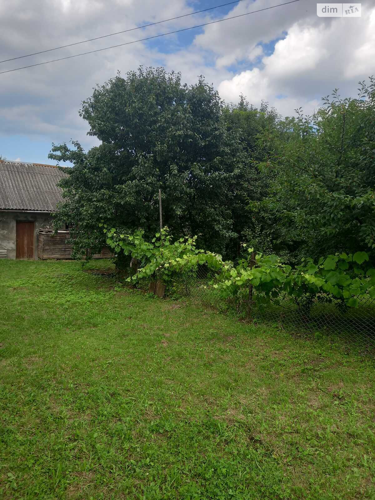 одноповерховий будинок, 50 кв. м, цегла. Продаж у Малій Березовиці фото 1