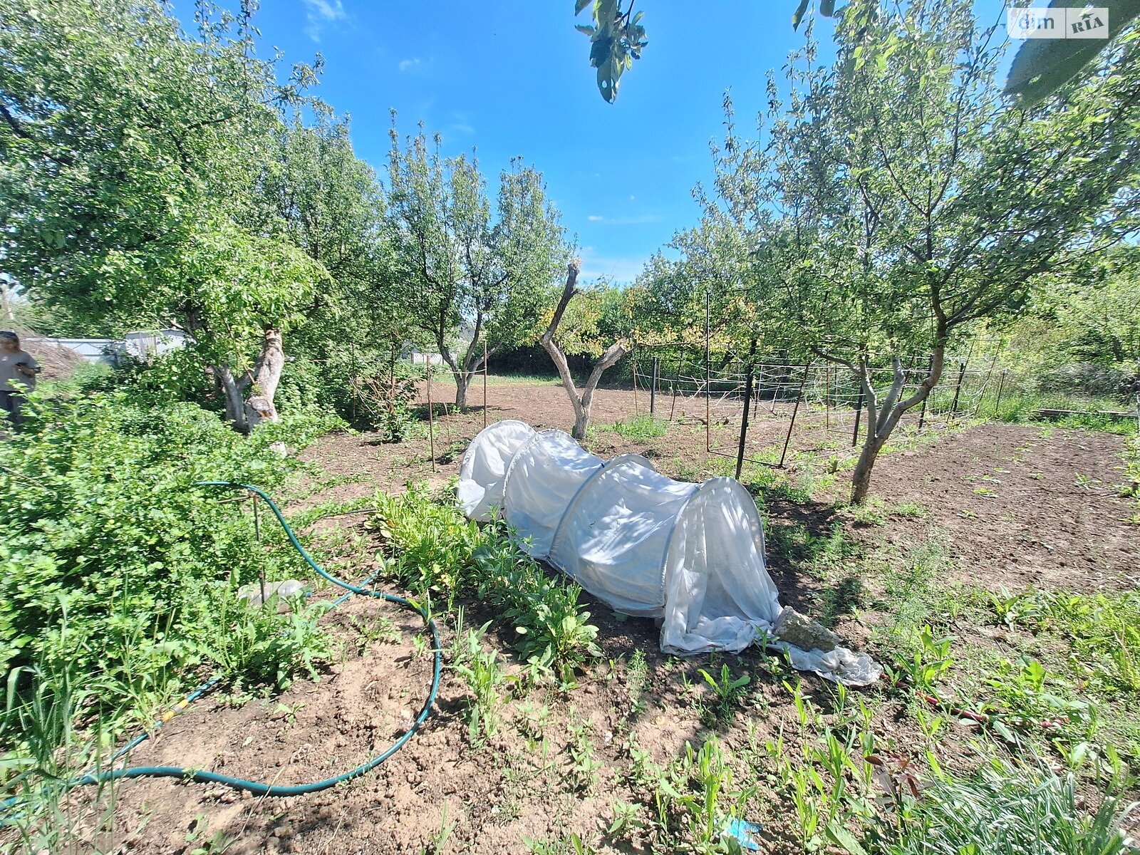 одноповерховий будинок з гаражем, 36.4 кв. м, цегла. Продаж у Малій Данилівці фото 1 одноповерховий будинок з гаражем, 36.4 кв. м, цегла. Продаж у Малій Данилівці фото 1