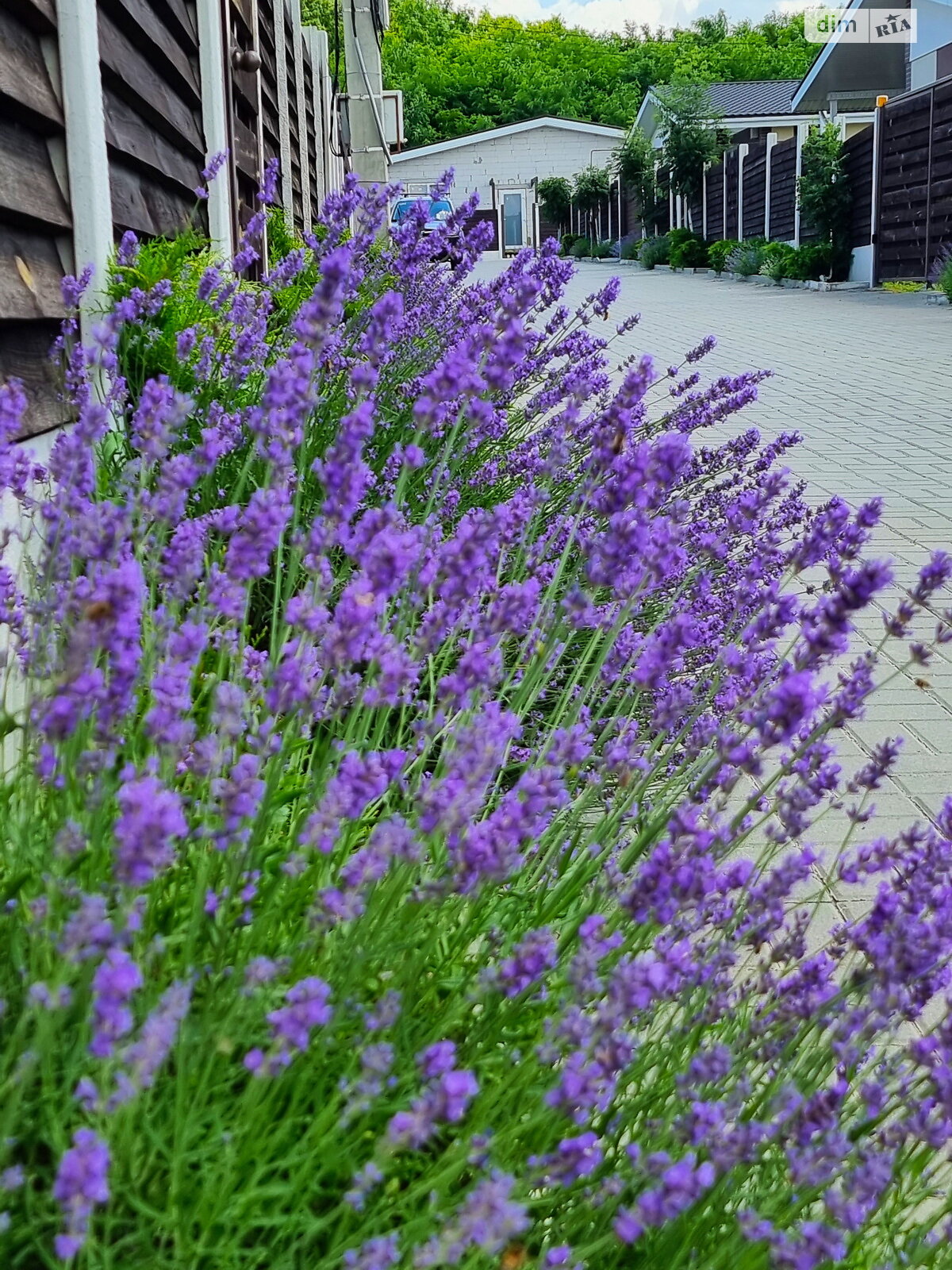 одноэтажный дом с отоплением, 140 кв. м, пеноблок. Продажа в Малой Даниловке фото 1