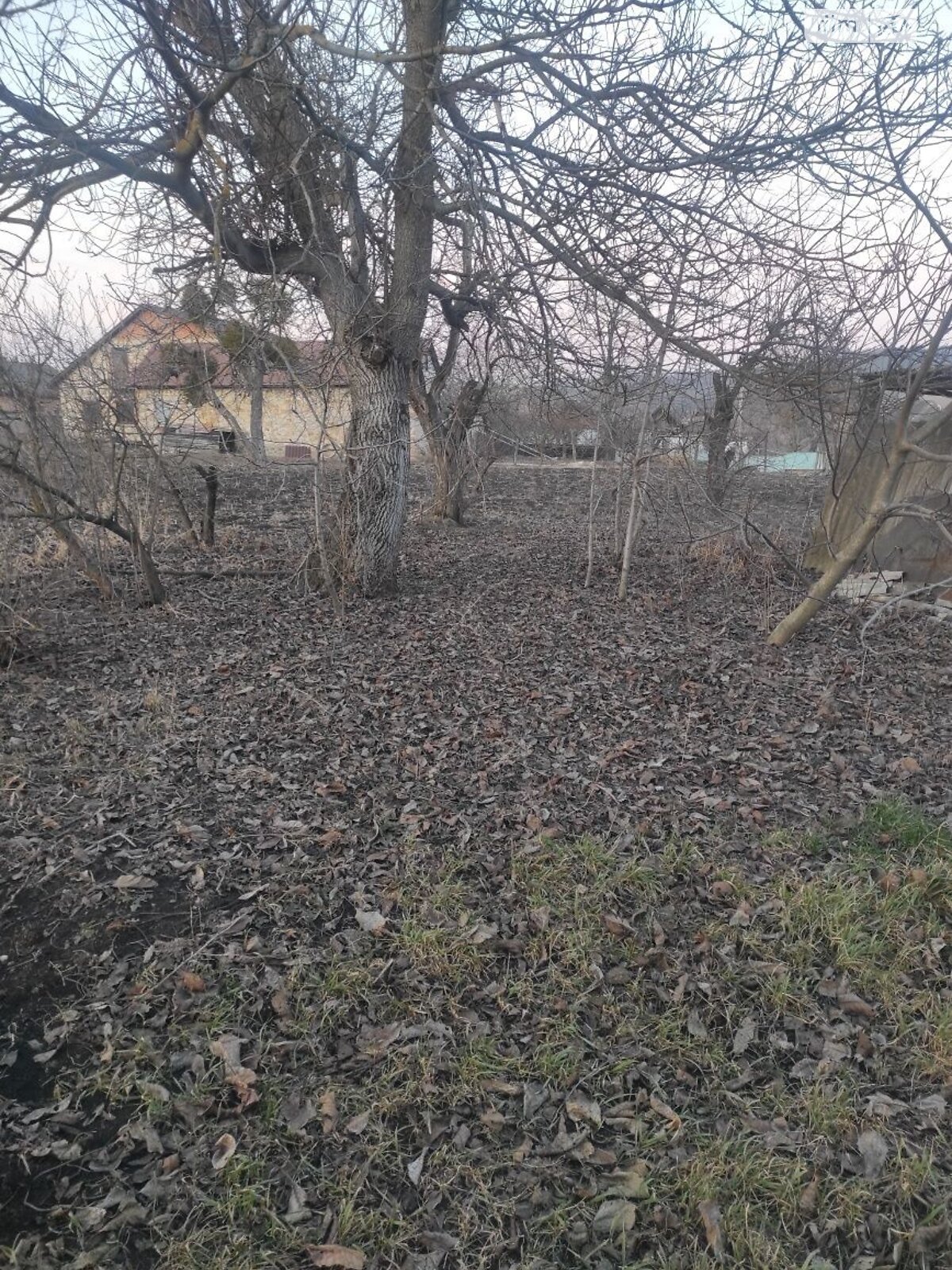 одноэтажный дом с отоплением, 50 кв. м, шлакоблок. Продажа в Малой Жмеринке фото 1 одноэтажный дом с отоплением, 50 кв. м, шлакоблок. Продажа в Малой Жмеринке фото 1
