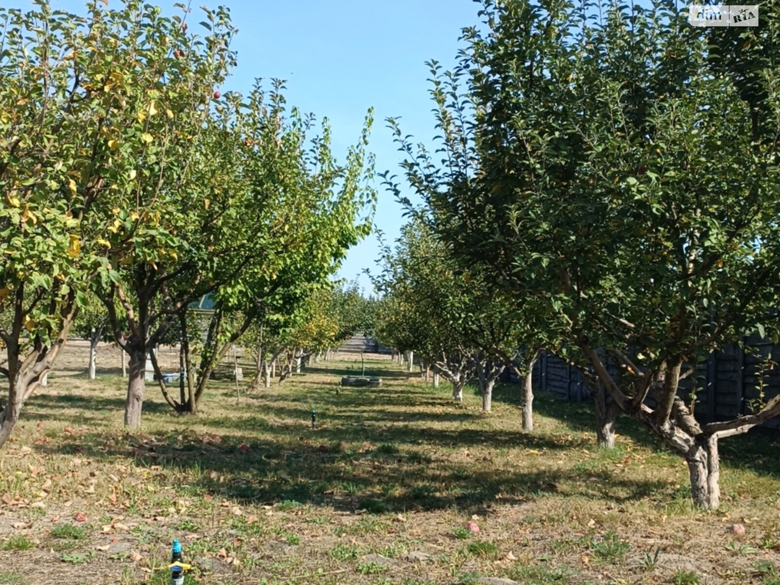 одноэтажный дом беседка, 93 кв. м, сруб. Продажа в Малой Раче фото 1 одноэтажный дом беседка, 93 кв. м, сруб. Продажа в Малой Раче фото 1