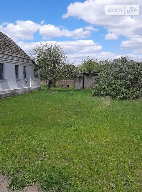одноэтажный дом, 72.1 кв. м, кирпич. Продажа в Недашках (Житомирская обл.) фото 1 одноэтажный дом, 72.1 кв. м, кирпич. Продажа в Недашках (Житомирская обл.) фото 1