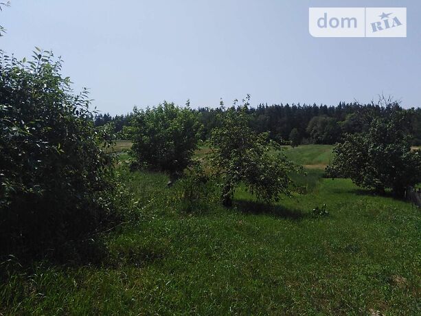 одноэтажный дом, 59.2 кв. м, брус. Продажа в Щербатовке фото 1 одноэтажный дом, 59.2 кв. м, брус. Продажа в Щербатовке фото 1
