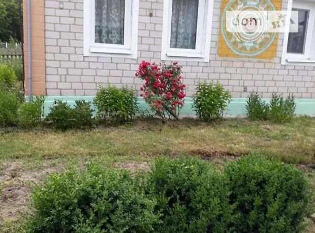 одноэтажный дом с садом, 75.9 кв. м, кирпич. Продажа в Йосиповке фото 1 одноэтажный дом с садом, 75.9 кв. м, кирпич. Продажа в Йосиповке фото 1