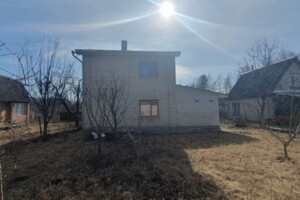 двоповерховий будинок з балконом, 120 кв. м, кирпич. Продаж у Петрику фото 2