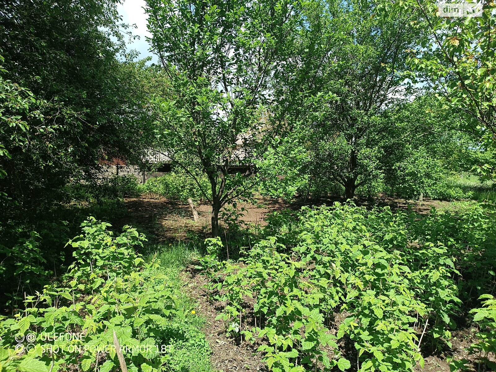 одноповерховий будинок з опаленням, 65 кв. м, цегла. Продаж у Малинівці фото 1