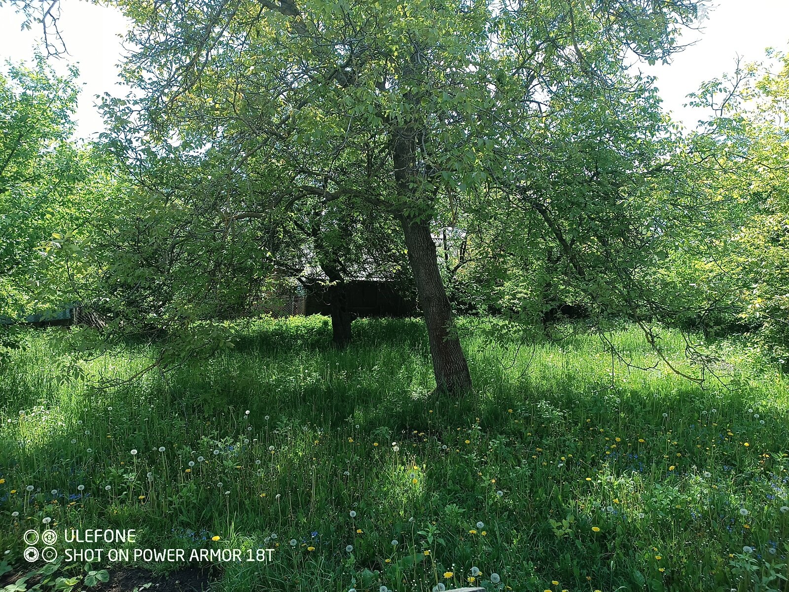 одноповерховий будинок з опаленням, 65 кв. м, цегла. Продаж у Малинівці фото 1