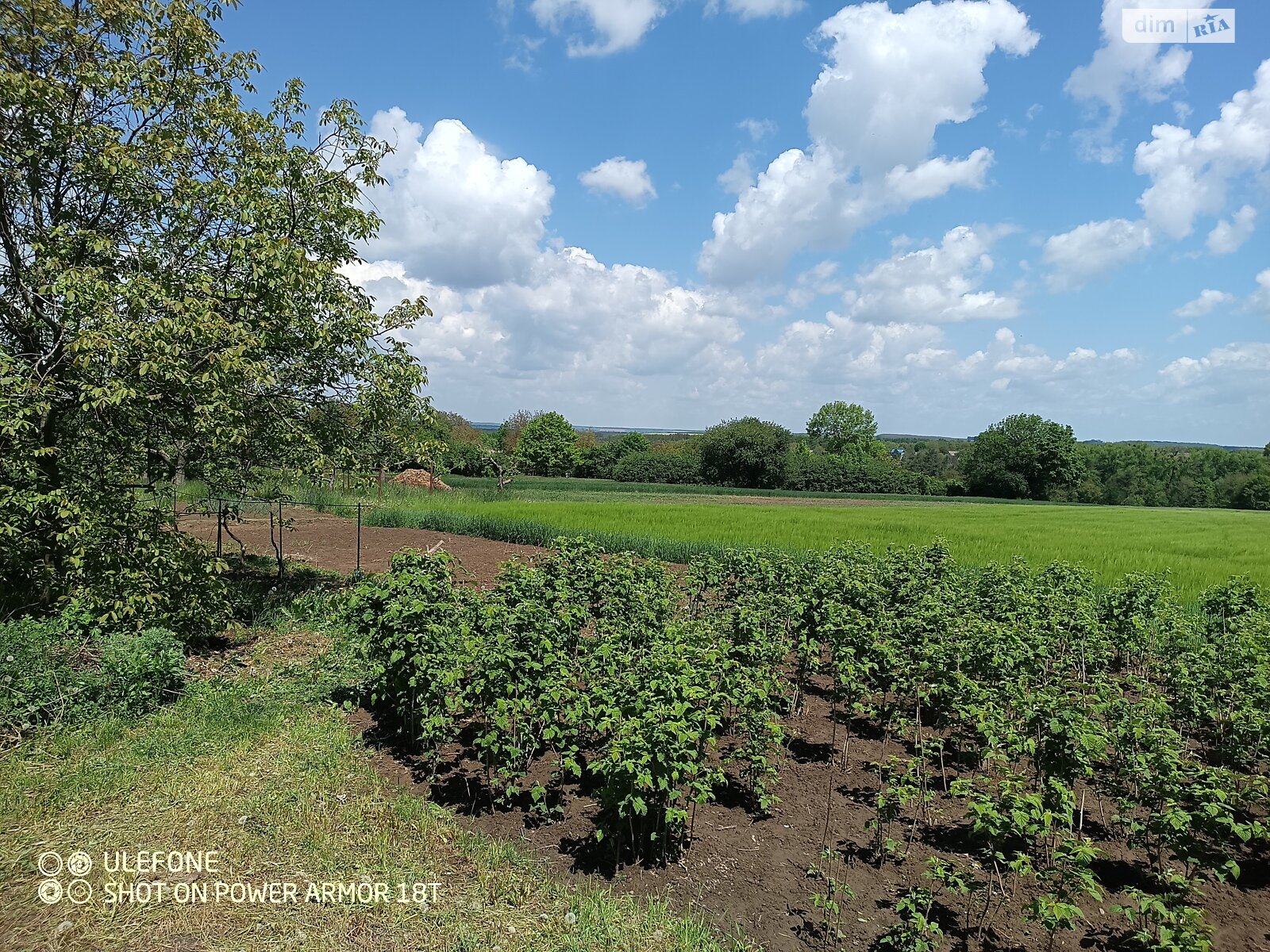 одноповерховий будинок з опаленням, 65 кв. м, цегла. Продаж у Малинівці фото 1