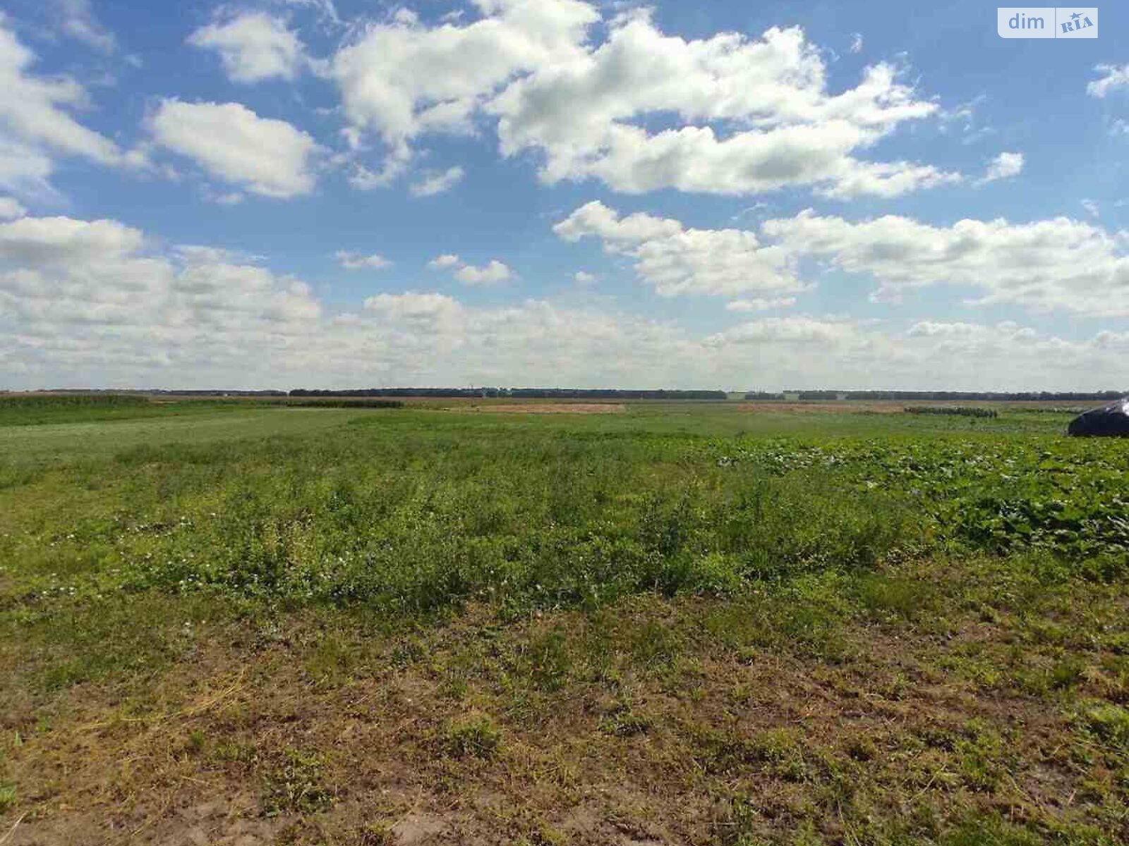 одноэтажный дом с отоплением, 56.5 кв. м, кирпич. Продажа в Малиновщине фото 1