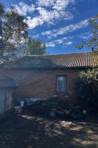 одноповерховий будинок, 60 кв. м, цегла. Продаж у Малиничі фото 2 одноповерховий будинок, 60 кв. м, цегла. Продаж у Малиничі фото 2