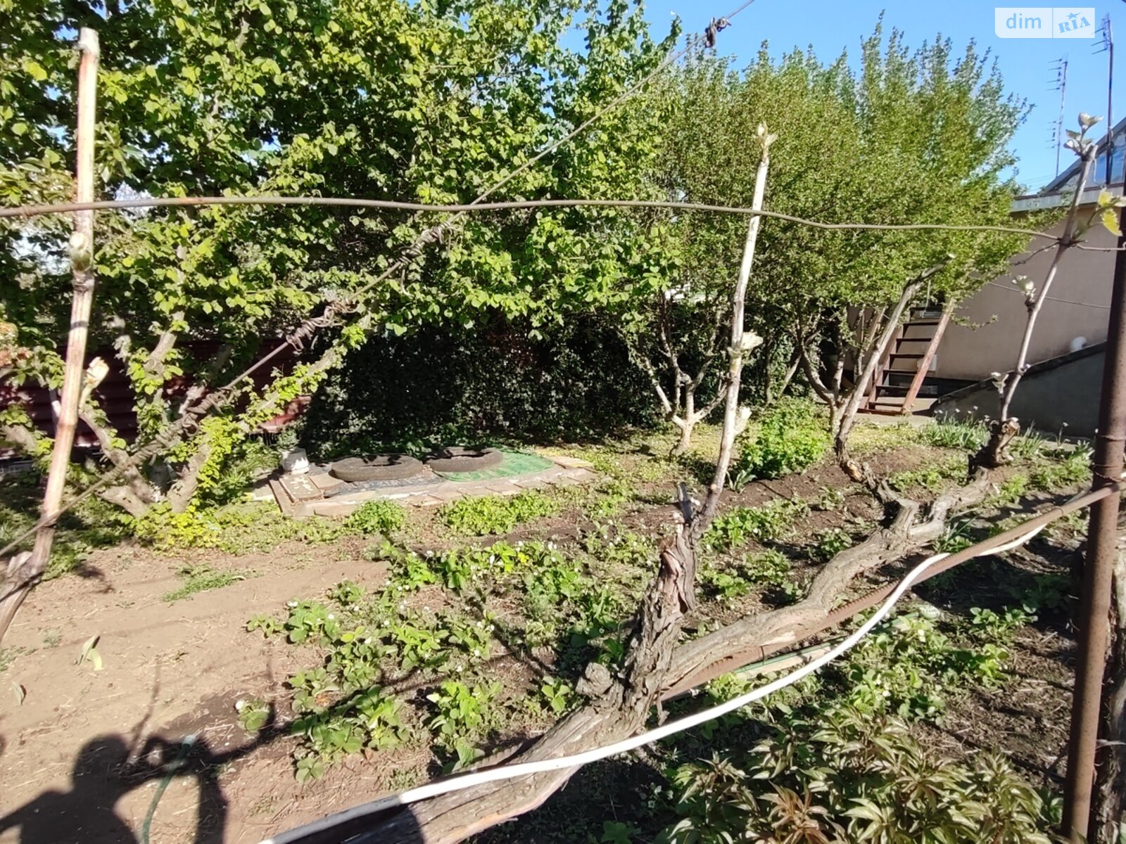 одноэтажный дом с верандой, 101.9 кв. м, ракушечник (ракушняк). Продажа в Малодолинском фото 1 одноэтажный дом с верандой, 101.9 кв. м, ракушечник (ракушняк). Продажа в Малодолинском фото 1
