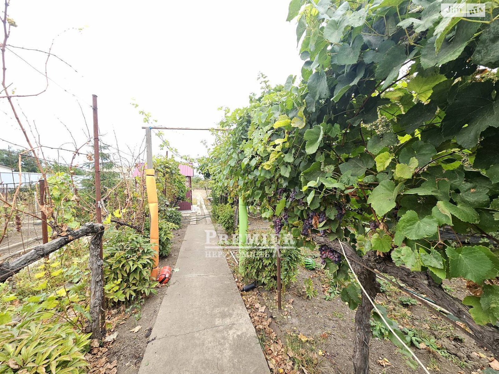 одноповерховий будинок з верандою, 101.9 кв. м, цегла. Продаж у Малодолинському фото 1 одноповерховий будинок з верандою, 101.9 кв. м, цегла. Продаж у Малодолинському фото 1