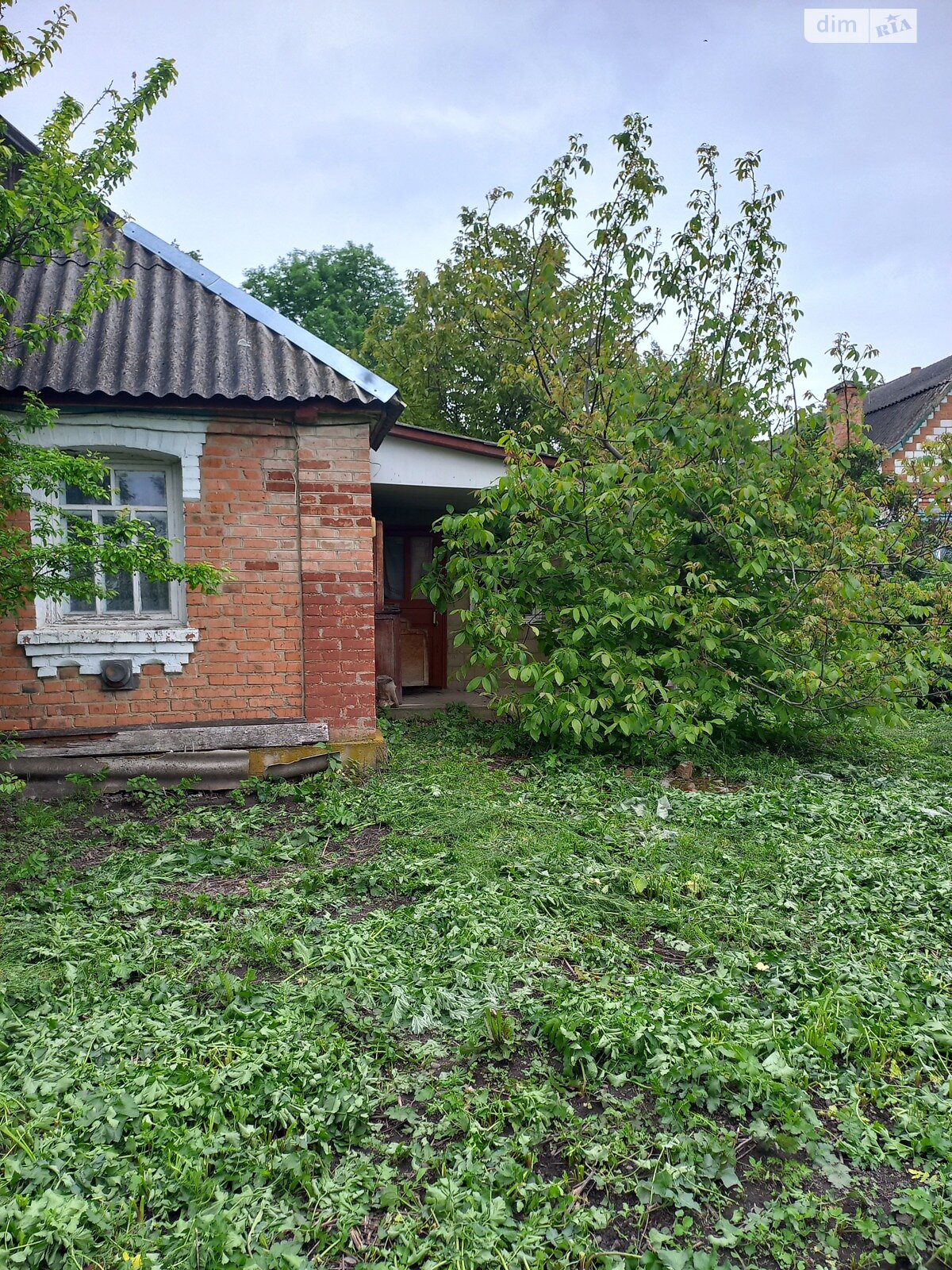 одноэтажный дом с верандой, 50 кв. м, кирпич. Продажа в Малых Крушлинцах фото 1 одноэтажный дом с верандой, 50 кв. м, кирпич. Продажа в Малых Крушлинцах фото 1