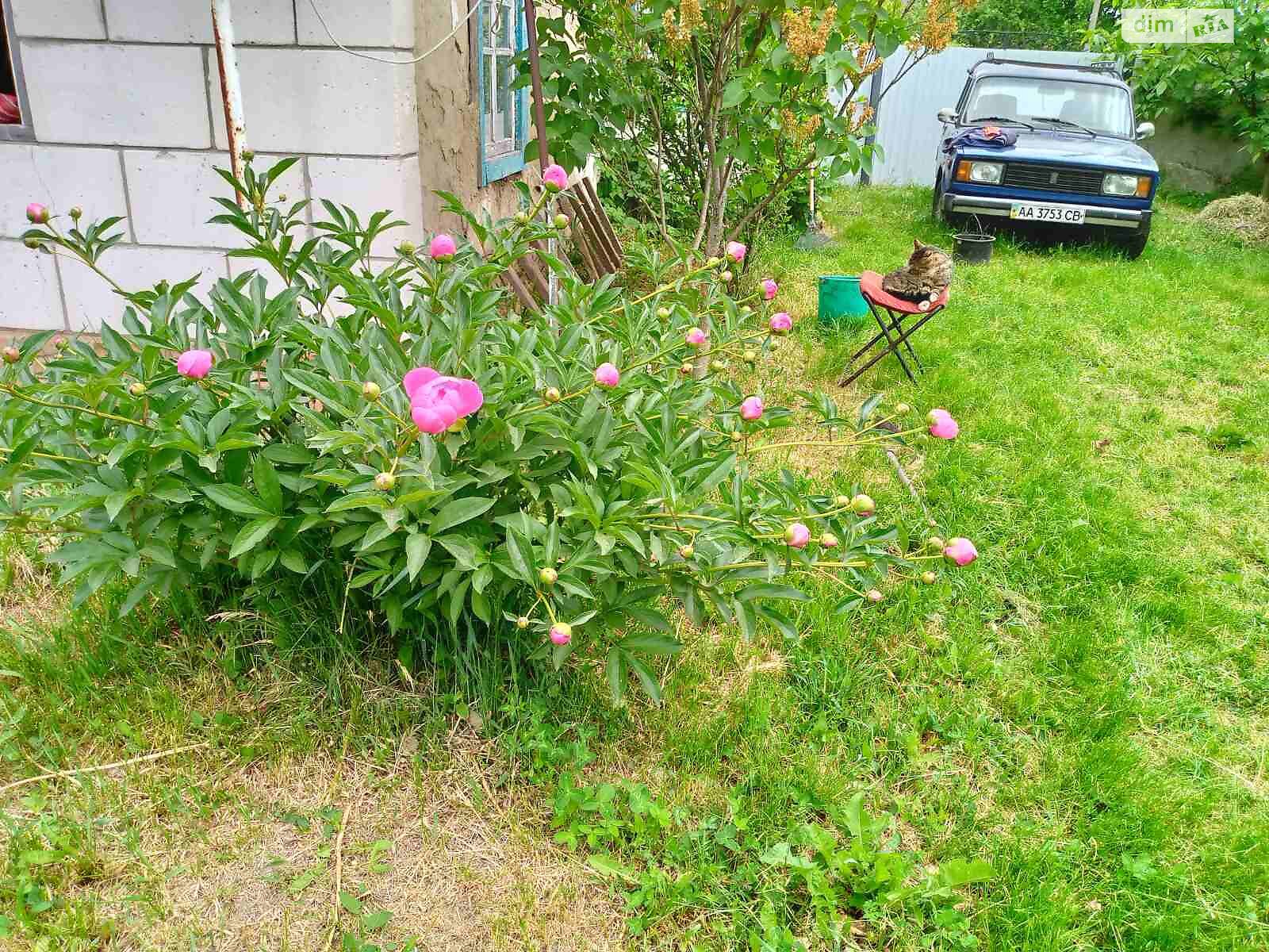 одноэтажный дом, 39 кв. м, кирпич. Продажа в Малютинцах фото 1