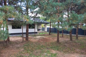 одноповерховий будинок, 119 кв. м, газобетон. Продаж у Малютянці фото 2