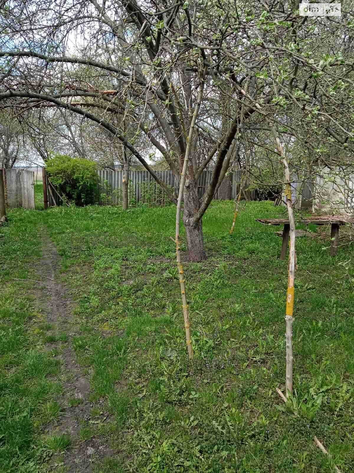 одноповерховий будинок з гаражем, 50 кв. м, дерево та цегла. Продаж у Малому Крупілі фото 1 одноповерховий будинок з гаражем, 50 кв. м, дерево та цегла. Продаж у Малому Крупілі фото 1