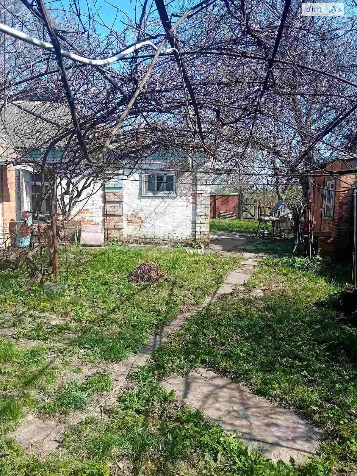 одноэтажный дом с верандой, 58 кв. м, кирпич саманный. Продажа в Малом Тростянце фото 1 одноэтажный дом с верандой, 58 кв. м, кирпич саманный. Продажа в Малом Тростянце фото 1