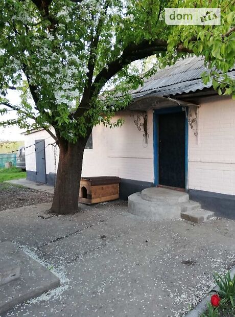 одноэтажный дом с садом, 71 кв. м, кирпич. Продажа в Курахове (Донецкая обл.) фото 1 одноэтажный дом с садом, 71 кв. м, кирпич. Продажа в Курахове (Донецкая обл.) фото 1