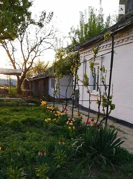 одноэтажный дом с садом, 71 кв. м, кирпич. Продажа в Курахове (Донецкая обл.) фото 1 одноэтажный дом с садом, 71 кв. м, кирпич. Продажа в Курахове (Донецкая обл.) фото 1