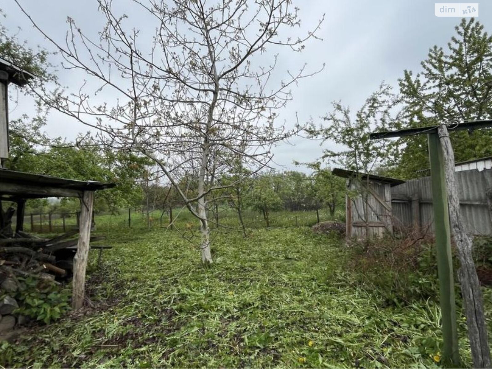 одноповерховий будинок з опаленням, 80 кв. м, цегла. Продаж у Марківці фото 1 одноповерховий будинок з опаленням, 80 кв. м, цегла. Продаж у Марківці фото 1