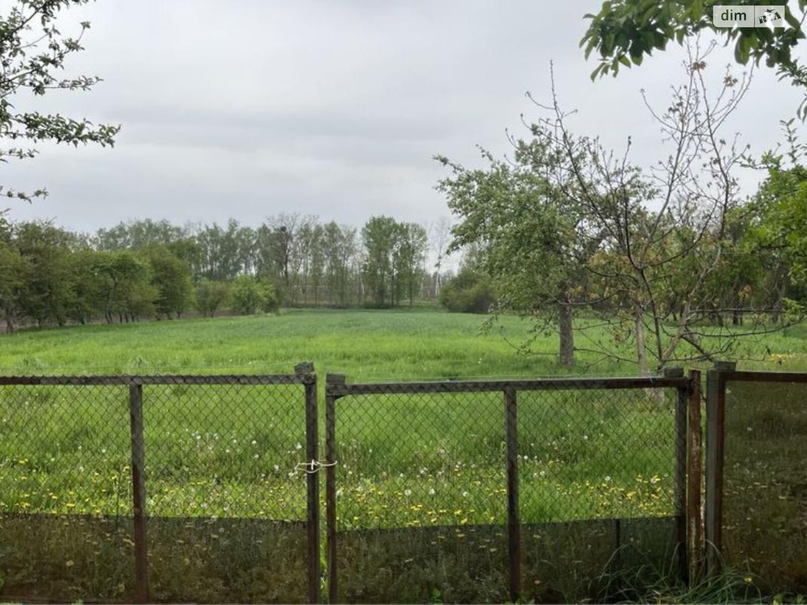 одноповерховий будинок з опаленням, 80 кв. м, цегла. Продаж у Марківці фото 1 одноповерховий будинок з опаленням, 80 кв. м, цегла. Продаж у Марківці фото 1