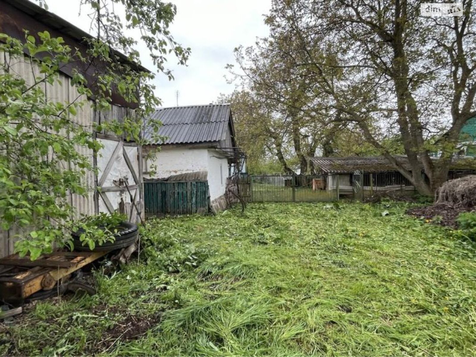 одноповерховий будинок з опаленням, 80 кв. м, цегла. Продаж у Марківці фото 1 одноповерховий будинок з опаленням, 80 кв. м, цегла. Продаж у Марківці фото 1