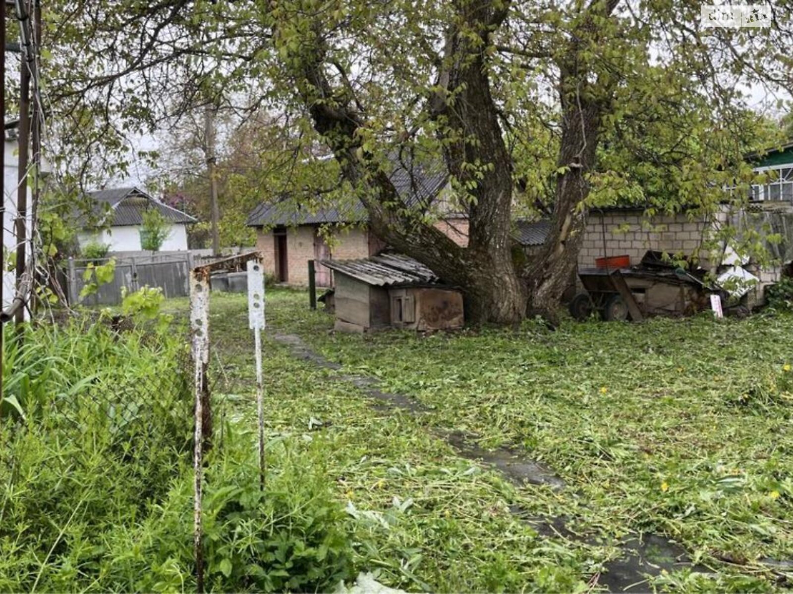 одноповерховий будинок з опаленням, 80 кв. м, цегла. Продаж у Марківці фото 1 одноповерховий будинок з опаленням, 80 кв. м, цегла. Продаж у Марківці фото 1