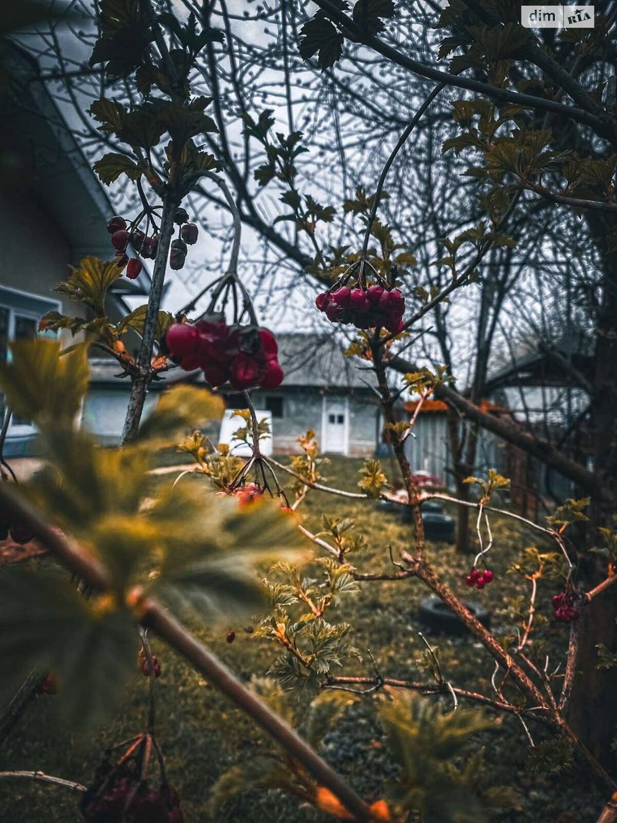 одноповерховий будинок з верандою, 61 кв. м, цегла. Продаж у Марківцях фото 1